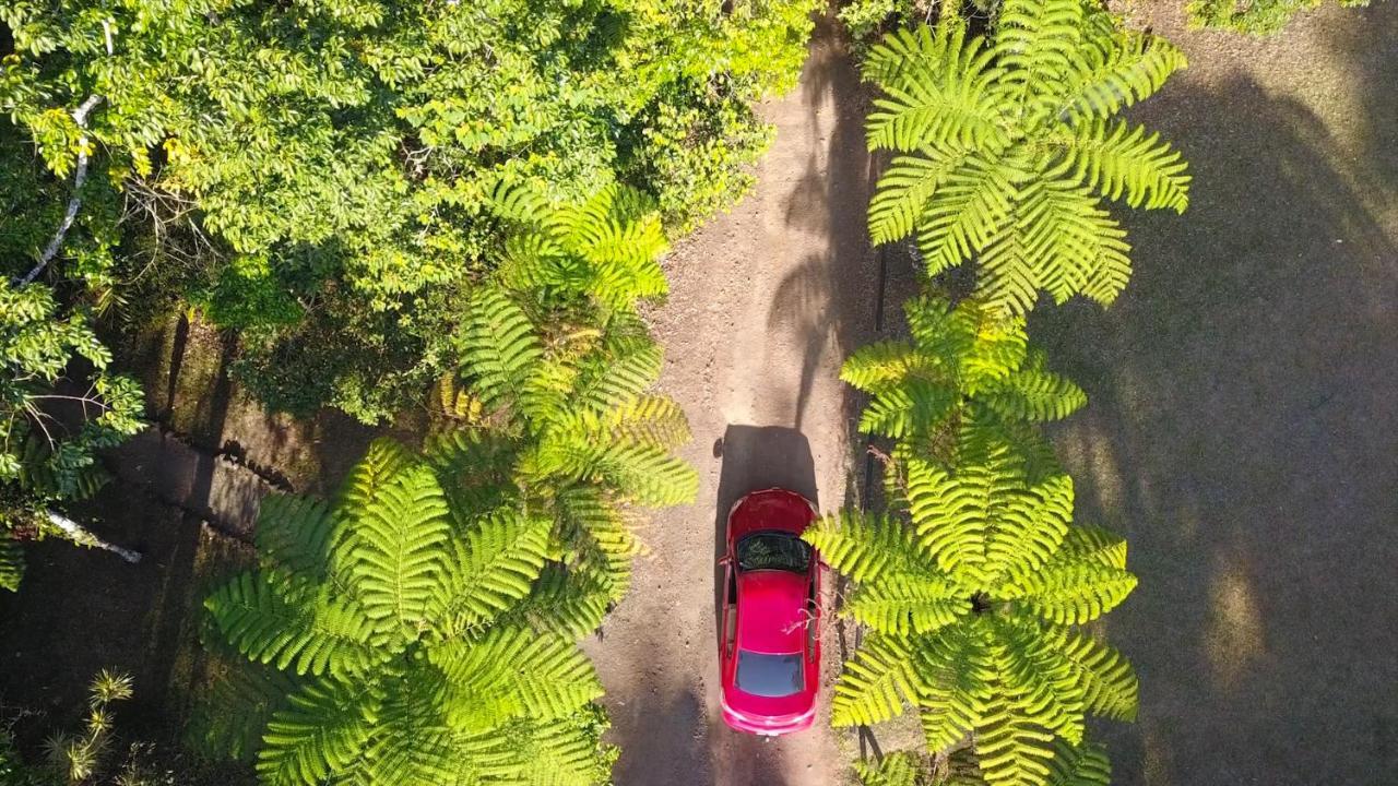 チャンバーズ ワイルドライフ レインフォレスト ロッジ Lake Eacham エクステリア 写真