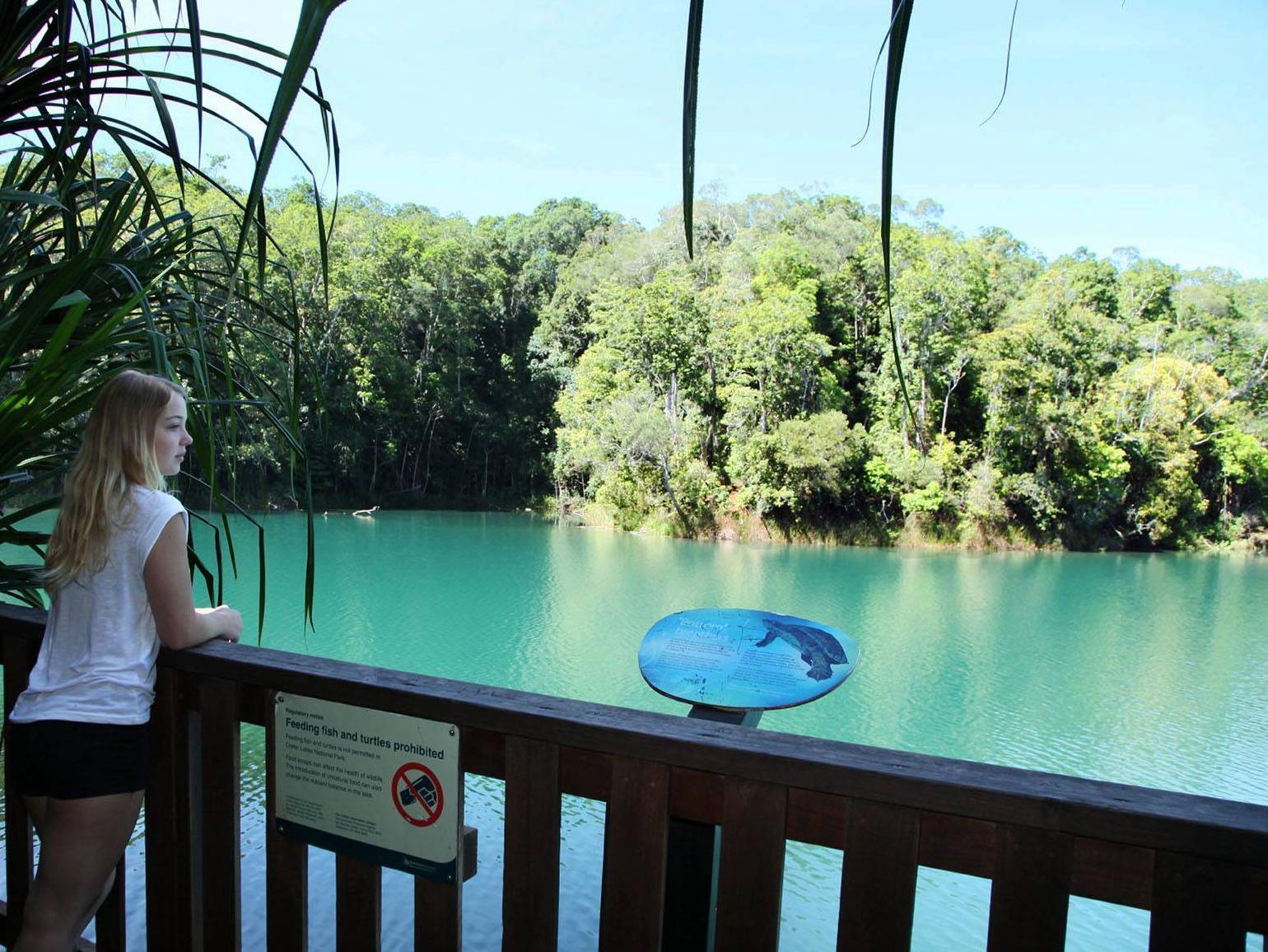 チャンバーズ ワイルドライフ レインフォレスト ロッジ Lake Eacham エクステリア 写真